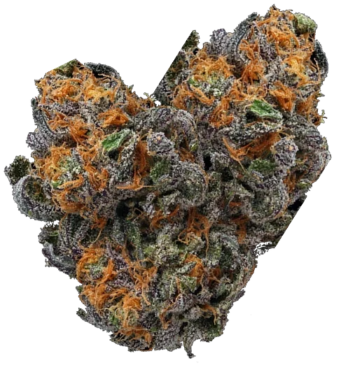 bud